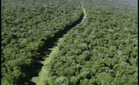 STF nega reabertura da Estrada do Colono