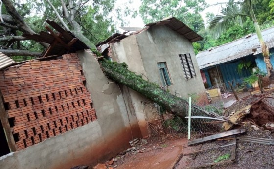 Temporal causa queda de árvores e destelhamentos em São Miguel do Iguaçu