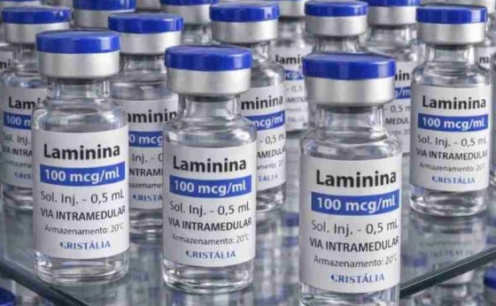 Testes clínicos fase 1 da polilaminina começam este mês