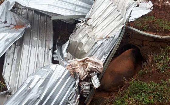 Tornado atinge propriedade rural e causa estragos e morte de animais Serranópolis