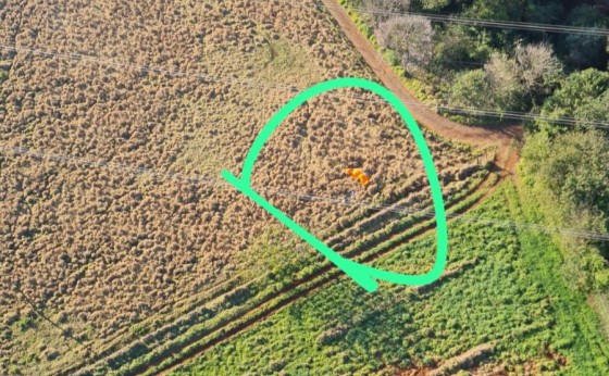 Tragédia: empresário morre em acidente de parapente em Missal