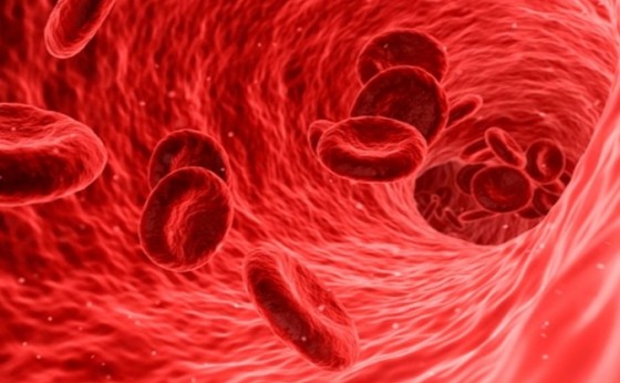 Unicamp vai testar eficácia da transfusão de plasma no tratamento da Covid-19