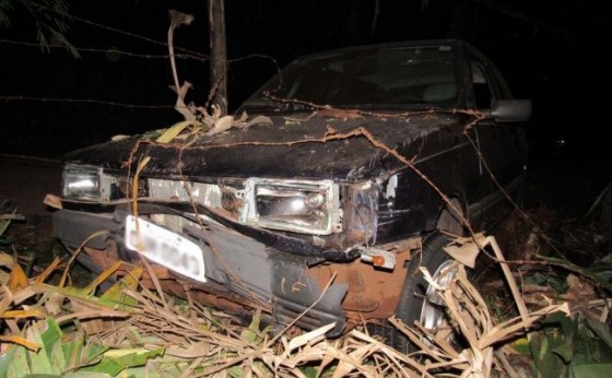 Uno colide contra pés de bananeira nas proximidades da ‘Curva do Ogregon’ em Santa Helena