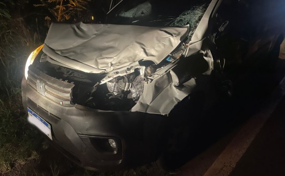 Veículo colide em vaca na PR 495 em Missal