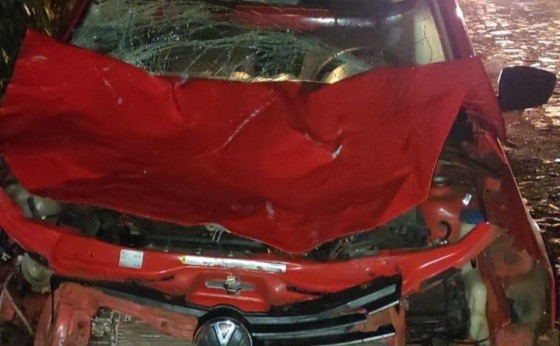 Veículo colide violentamente em boi na rodovia PR 317 em Santa Helena