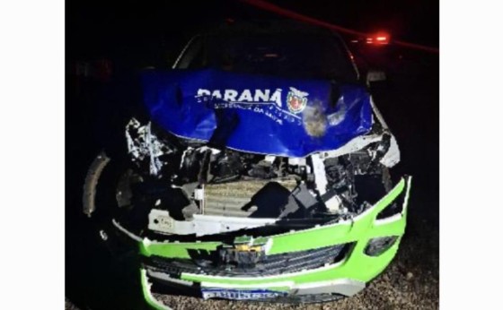 Veículo da prefeitura de Santa Helena colide em bois na PR 488