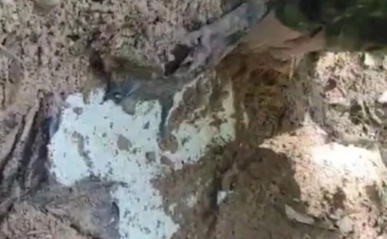 Veículo desenterrado no Paraná pode conter corpos de desaparecidos