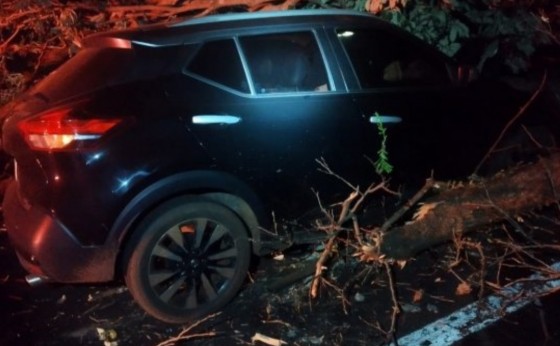 Veículo ocupado por família colide contra árvores derrubadas na rodovia entre Missal e Santa Helena